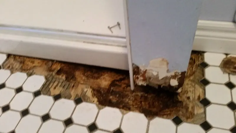 Rotted subfloor exposed beside a shower base under octagon floor tile